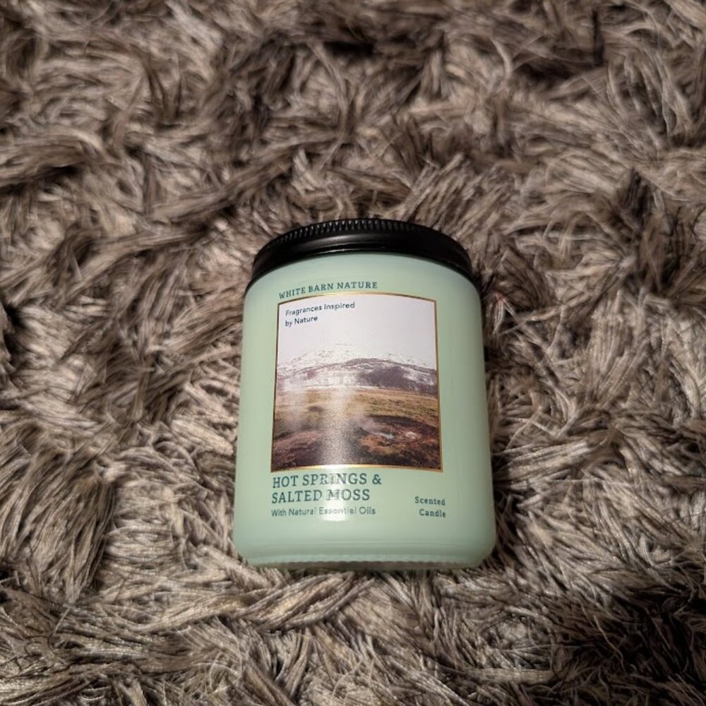 Bath & Body Works Hot Springs & Salted Moss Single Wick 7 oz Candle DISCONTINUED